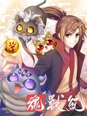 综艺特辑档案卡片封面示意图